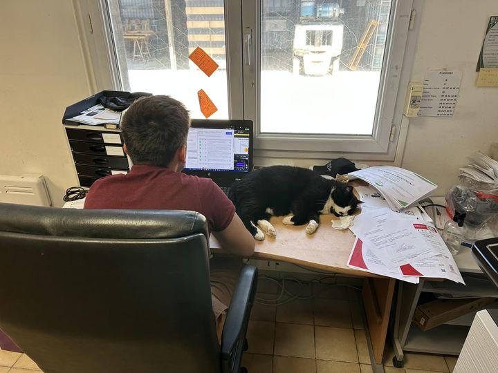 CHAT TRAVAILLE DUR Vignobles Rousseau CHAT TRAVAILLE DUR Vignobles Rousseau